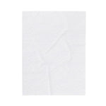 Holiday Velveteen Plush Blanket